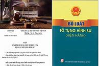 Bình Luận Tố Tụng Hình Sự Pdf