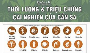 Cai Nghiện Cần Sa