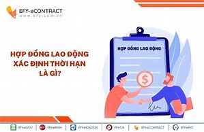 Hợp Đồng Lao Động Xác Định Thời Hạn 6 Tháng