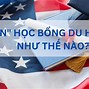 Suất Học Bổng Du Học Anh Văn Tại Mỹ