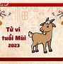 Tử Vi Tuổi Tân Mùi 1991 Nam Mạng Năm 2023